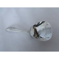 Specerijen/thee lepel