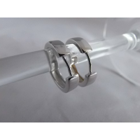 Zilveren klapcreolen