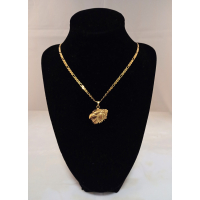 Gouden ketting/adelaar hanger