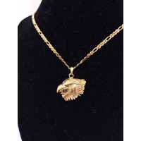 Gouden ketting/adelaar hanger
