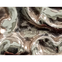 Grote zilveren lijst