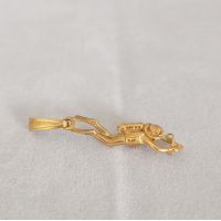 Gouden hanger duiker (incl. collier)